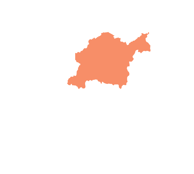 豊田市